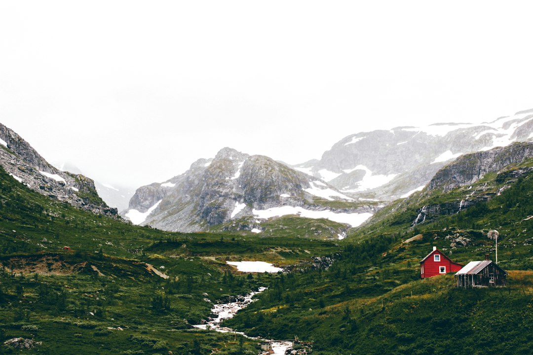 Fjellet: En Guide til Fotturer, Natur og Opplevelser