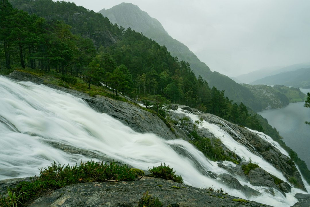 Oppdag Norsk Natur: En Guide til Nasjonalparker